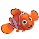 Nemo – Hello