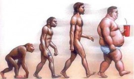 evolucion-obesidad