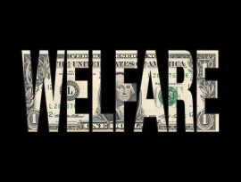 welfare4